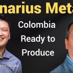 Denarius Metals A Deep Dive with CFO Mike Davies