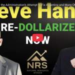 Steve Hanke Re-Dollarize Now