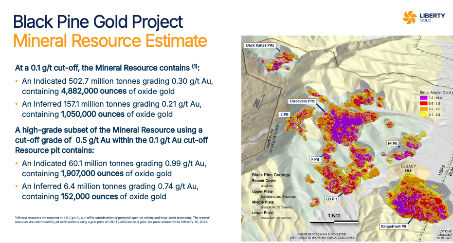 Liberty Gold Black Pine Project