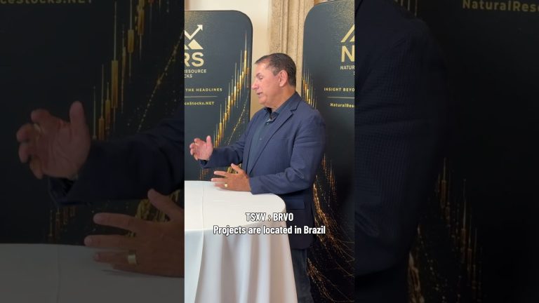Junior mining company, Bravo Mining Corp, could be your next target 😉 🎯 #mining #copper #gold #AI