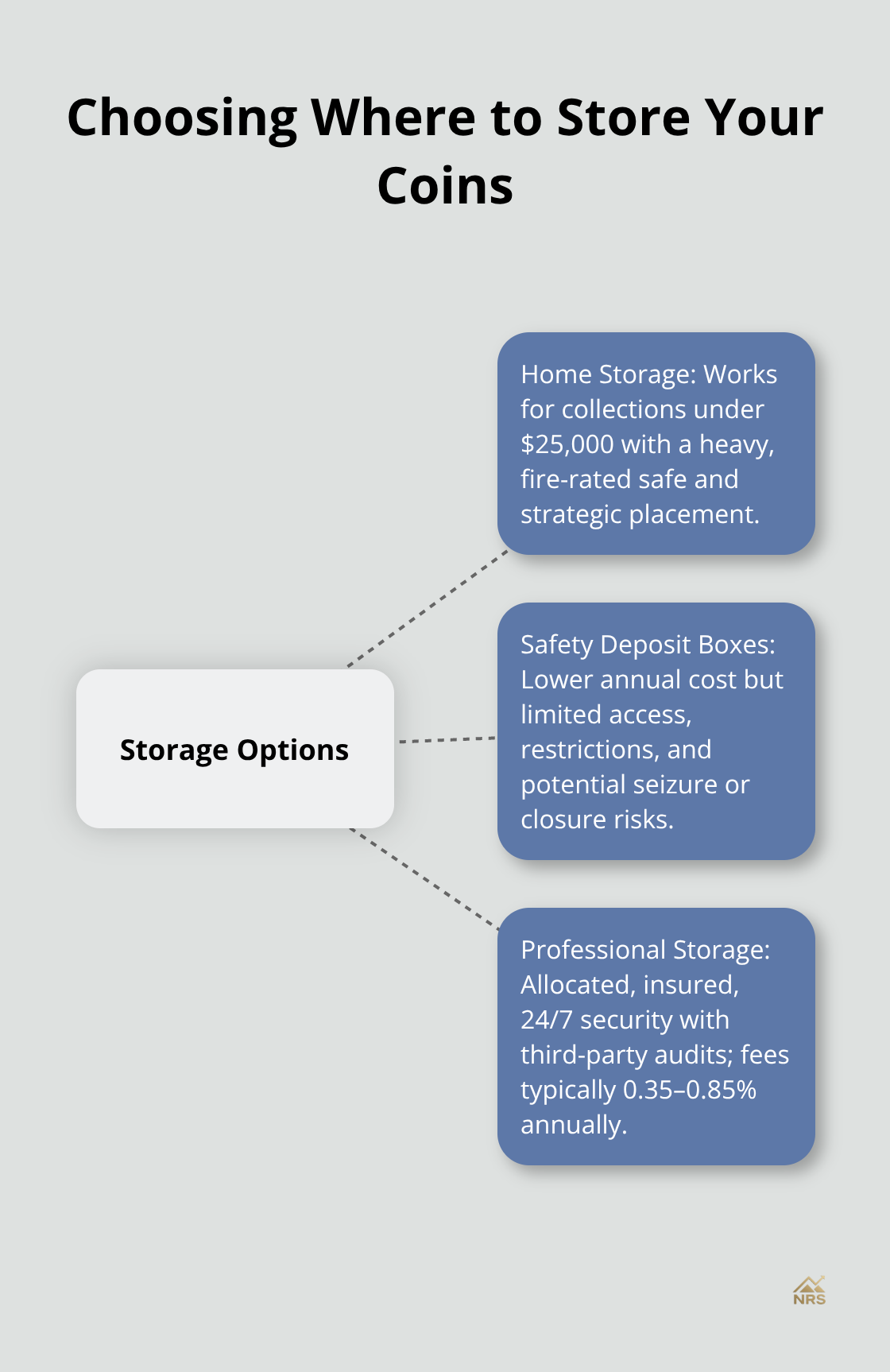 Hub-and-spoke comparison of coin storage options with pros, cons, and costs - buy gold and silver coins