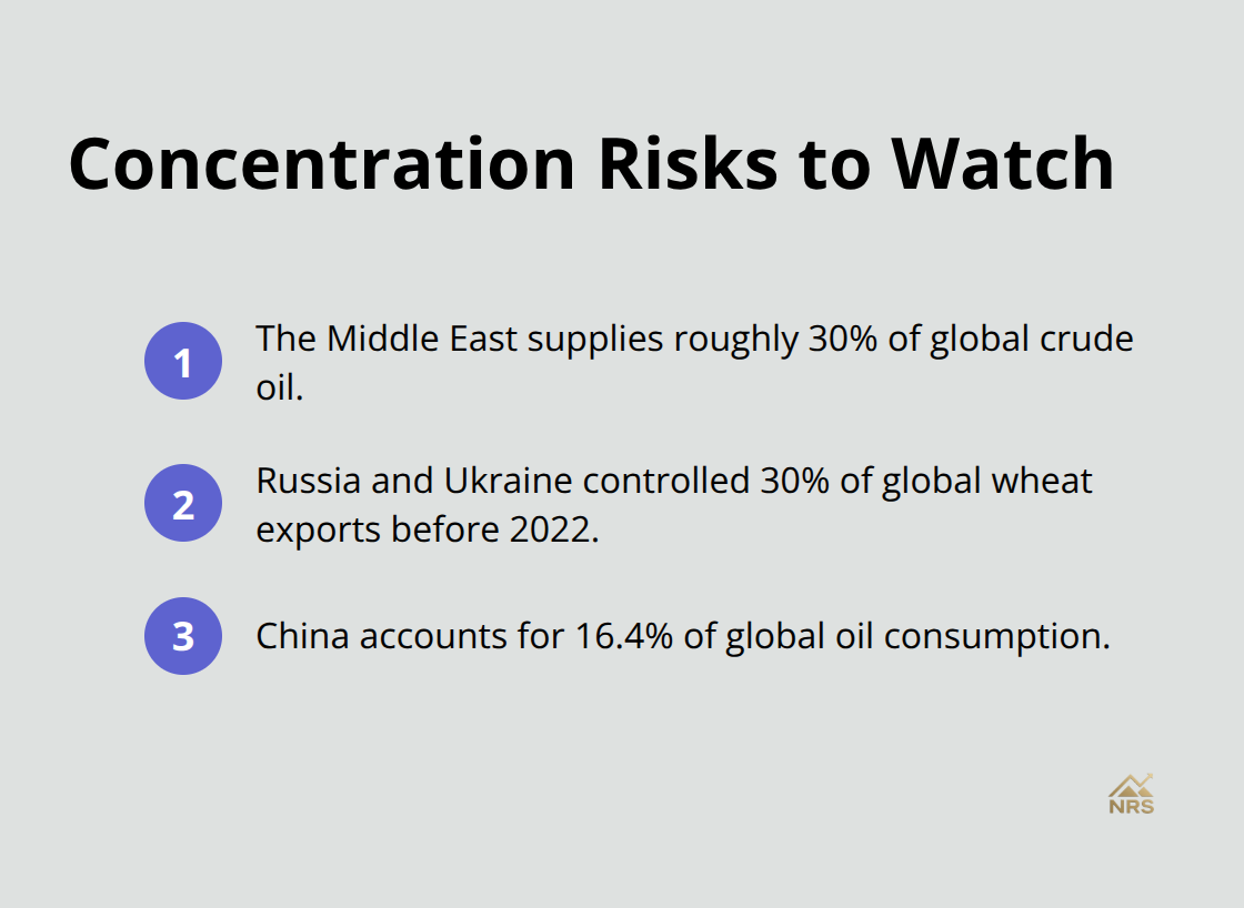 Compact list highlighting key concentration risks across commodities and demand. - geopolitical spillover commodity prices