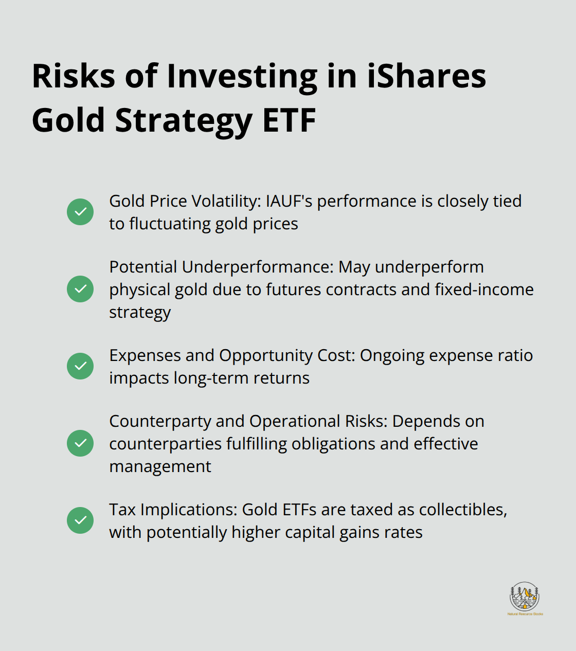 Checkmark list of five key risks associated with investing in iShares Gold Strategy ETF