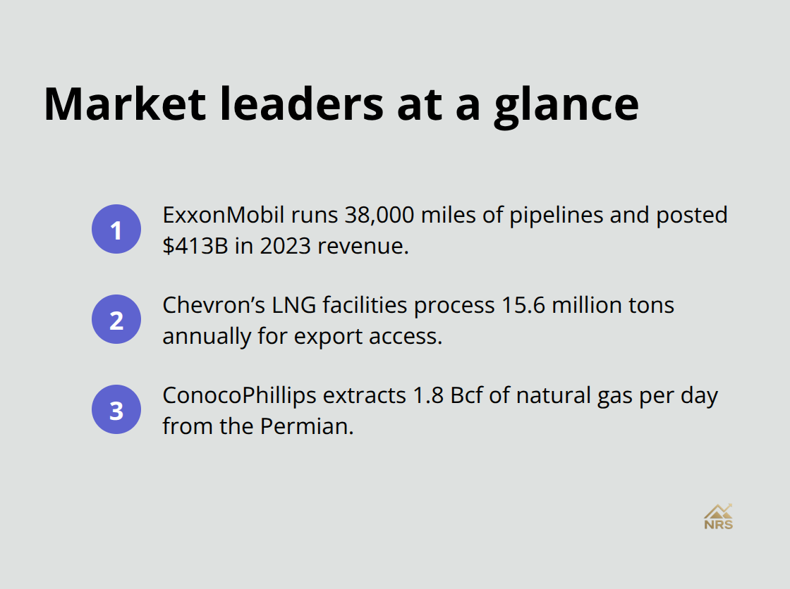 Snapshot of leading natural gas companies and key metrics