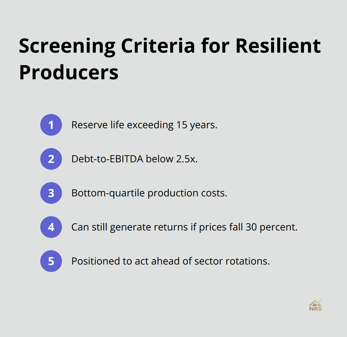Compact checklist of fundamentals to identify resilient resource producers - natural resource stocks analysis