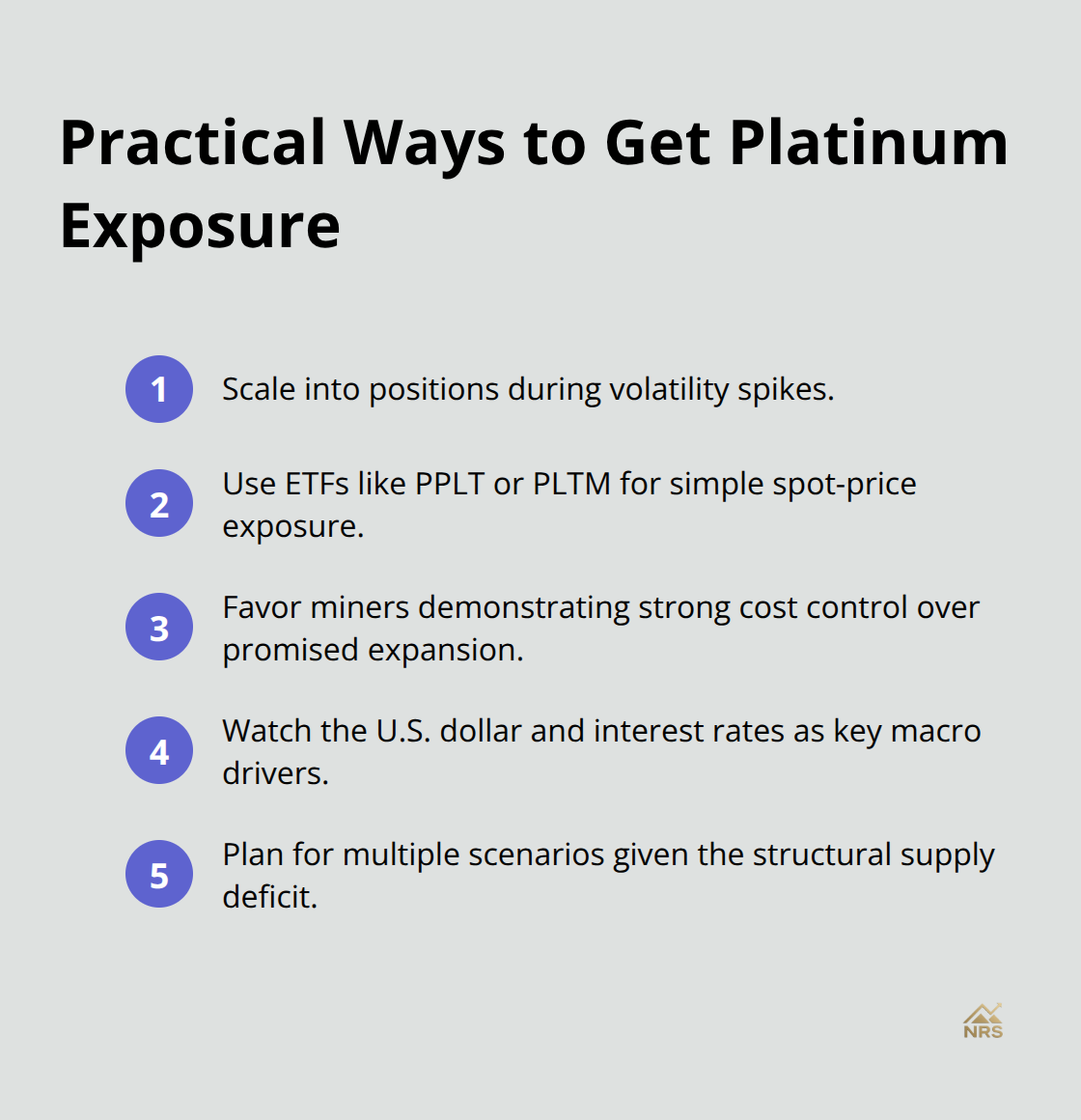 Compact checklist of investor positioning strategies for platinum in the U.S. market - platinum market trends