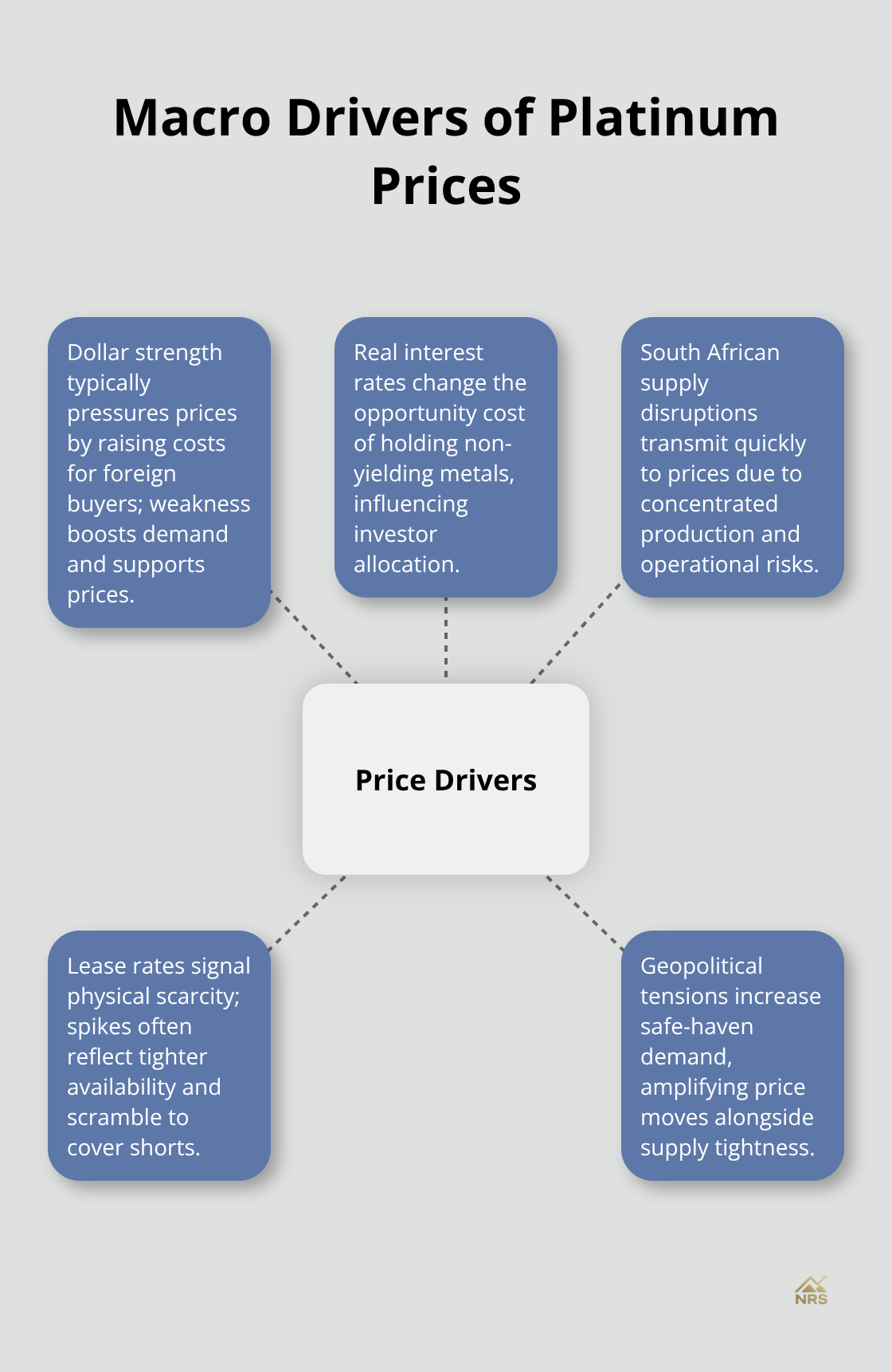 Hub-and-spoke chart of key macro drivers affecting platinum prices. - platinum price drivers