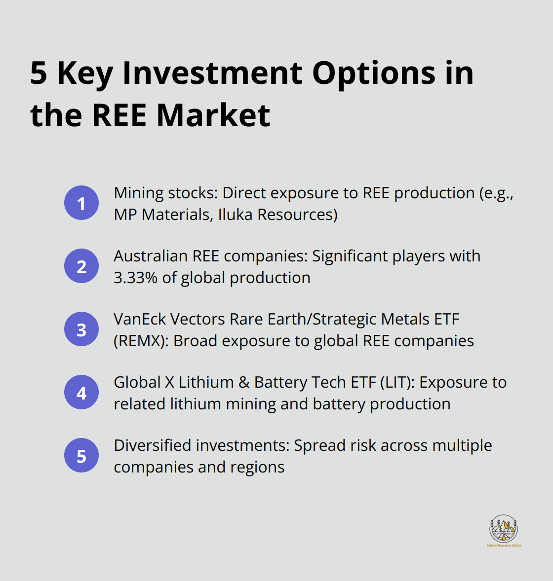Ordered list of 5 key investment options in the Rare Earth Elements market, including mining stocks and ETFs