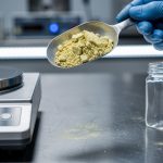 Uranium Price Trajectory: Forecasts and Market Signals