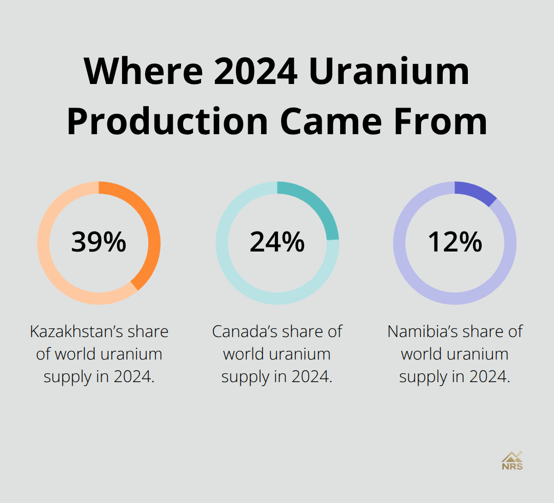 Percentage breakdown of 2024 uranium production shares by country - uranium price volatility
